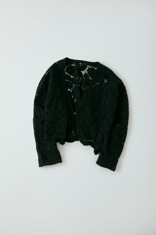 embroidery lase gown